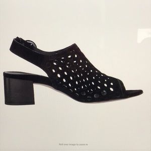 Paul Green Rae Sandel